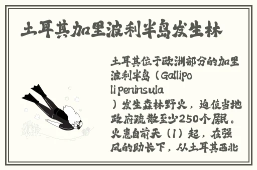 张津瑜6分钟